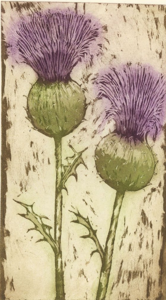 Thistle