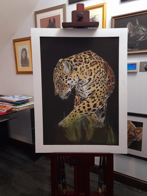 Leopard Chincha realism wild animals pastel on pastelmat