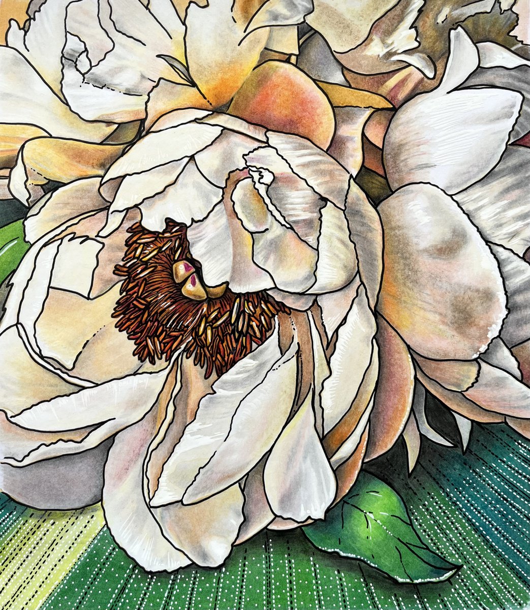 Illustrative Painting , Peach Peony By Karen Elaine Evans, 10 X 12, Artwork For Sale On Artfinder