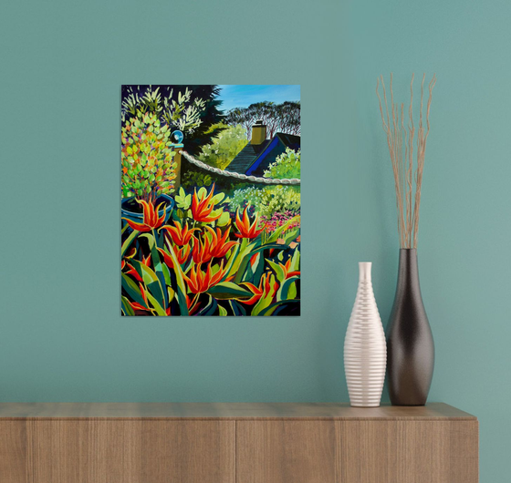 Ballerina Tulips on the patio