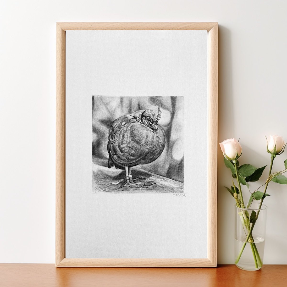 Photorealistic Animal Pencil Drawing By Amelia Taylor, 8 X 12, Crested Partridge, Original Artwork