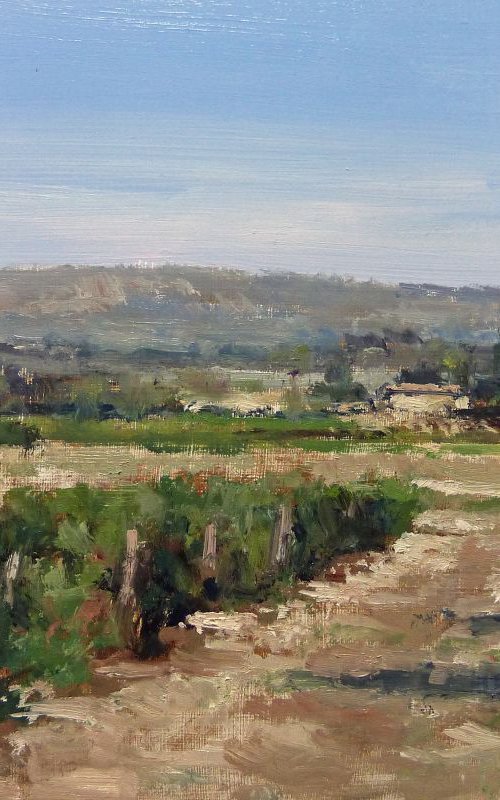 Vineyards in Provence by Pascal Giroud