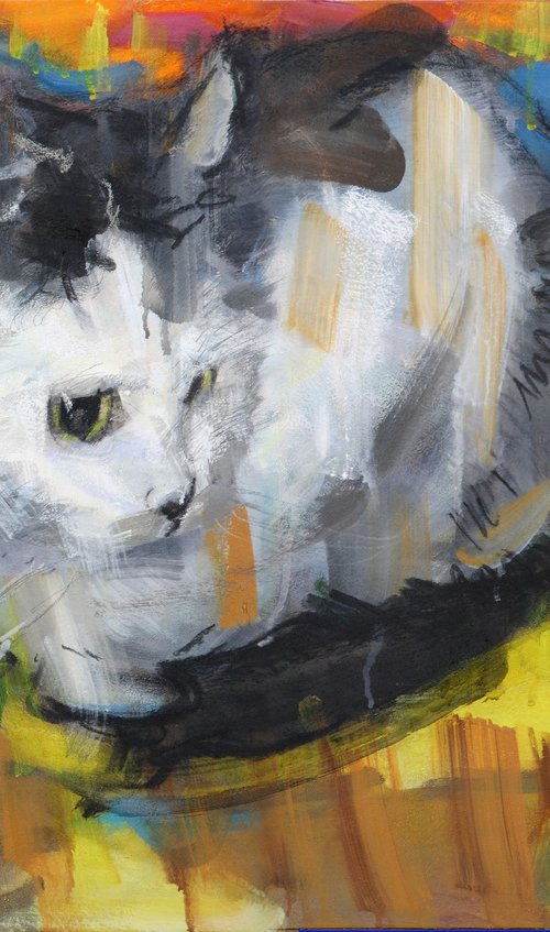 "Kitty " by Eugene Segal