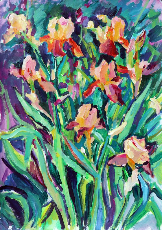 Irises, evening (plein air)