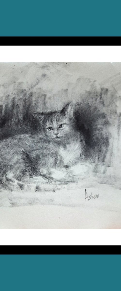 Relaxing Cat Aishwarya by Asha Shenoy