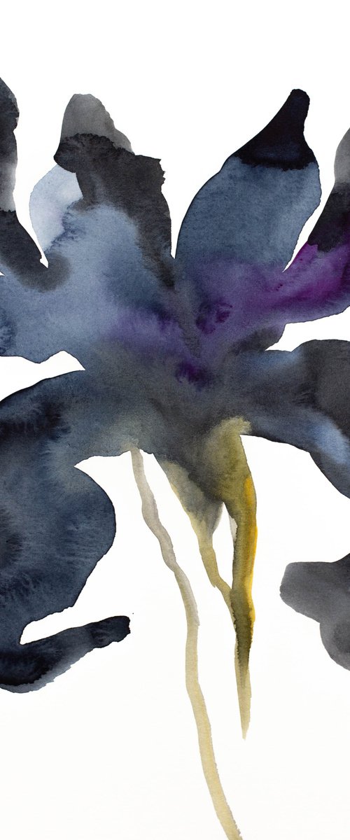 Iris No. 136 by Elizabeth Becker