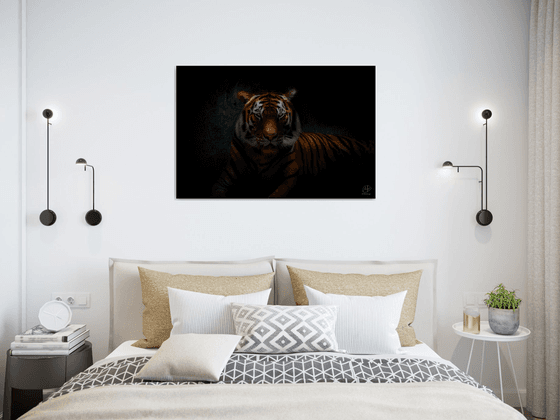 Tiger's Gaze - Fine art