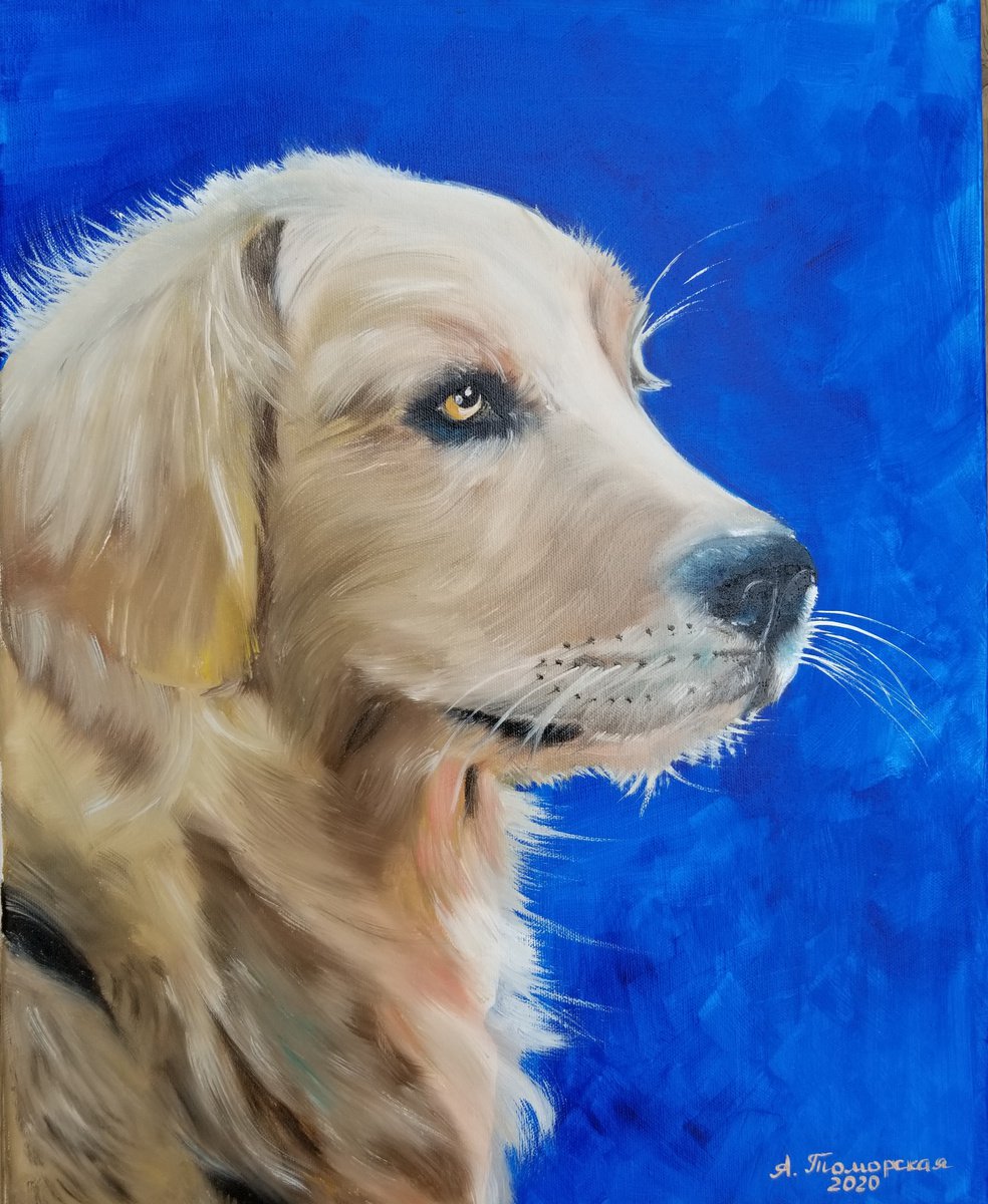 Golden Retriever. Original Oil Painting on Canvas. Pet Lovers Gift. Dog Lovers Gift. Puppy... by Alexandra Tomorskaya/Caramel Art Gallery
