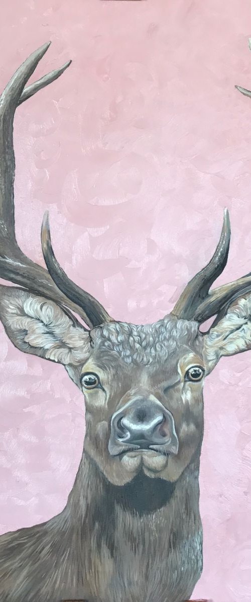Stag on Rose #1 by Lydia Cunningham