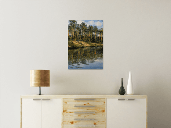 Pine trees by the river 2