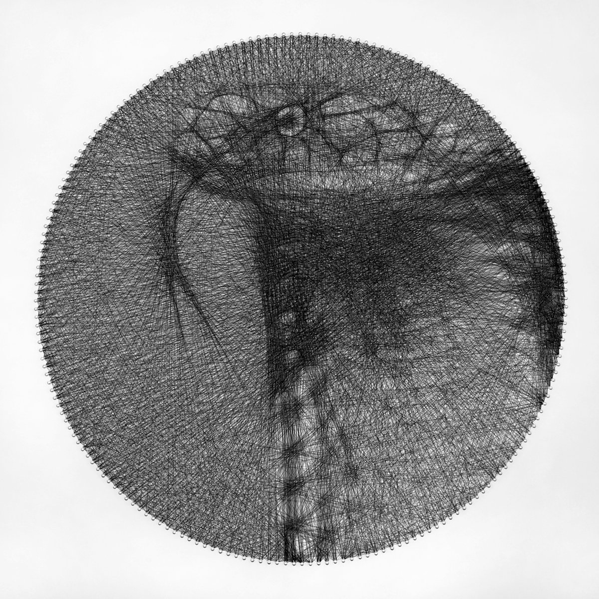 Photorealistic Animal Sculpture By Andrey Saharov, 22 X 22, Cobra Snake String Art, Original Artwork