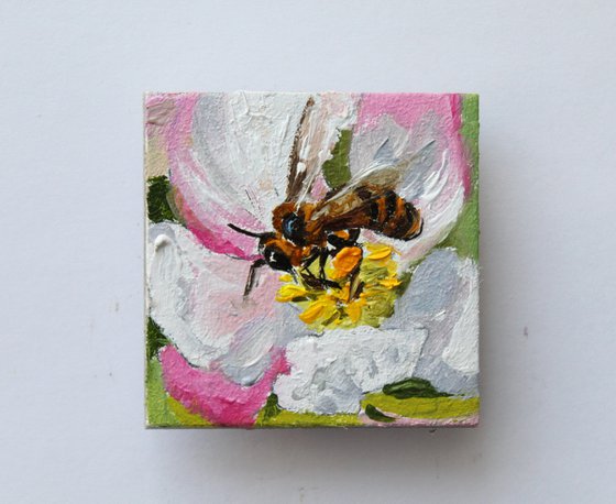 Tiny Bee on Spring Blossom