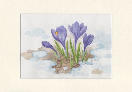 Crocuses 15x21 cm