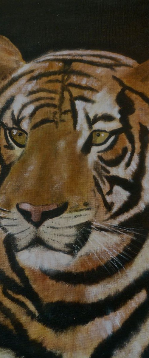 Tiger Tiger by Karen Spence
