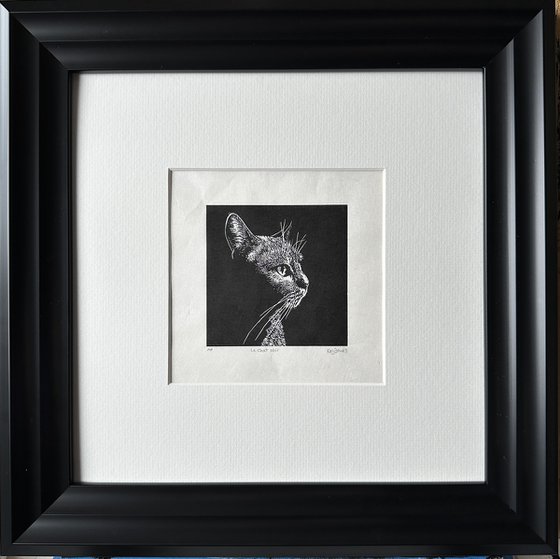 Le Chat Noir