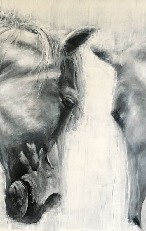 Horses Eye to Eye, large grey/white horse by Paul Hardern