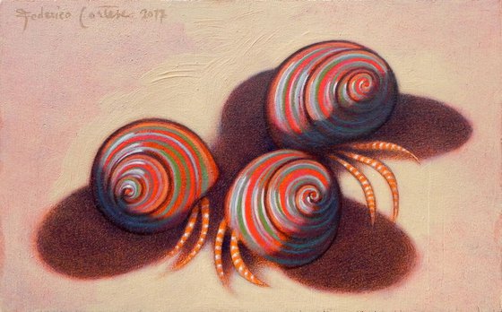 Hermit crabs on the shore