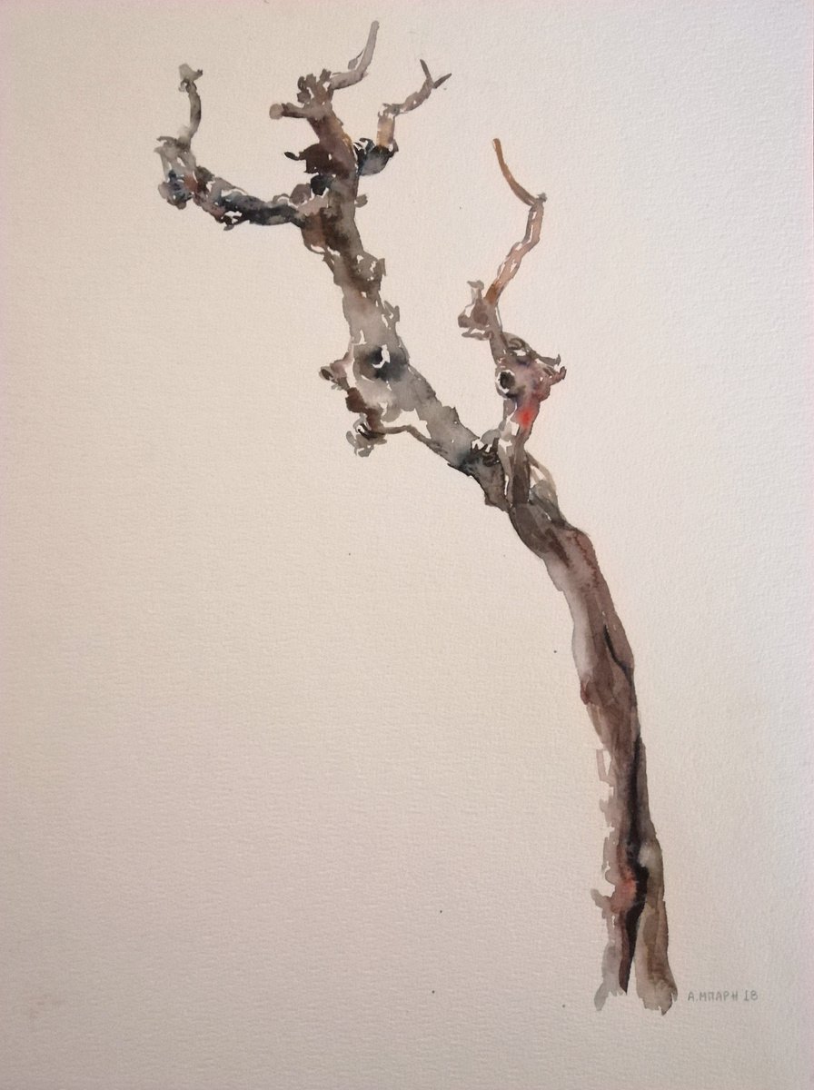 Winter tree I by Alexandra Bari