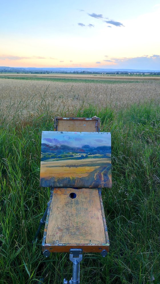 Ukrainian fields