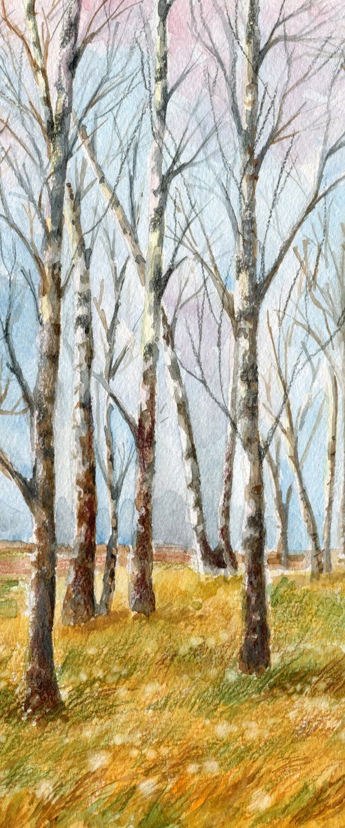 Autumn in a birch grove. Original watercolor artwork. by Evgeniya Mokeeva