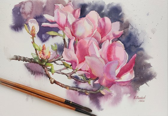 Ukrainian watercolor. Pink magnolias in Wroclaw. Stolen spring