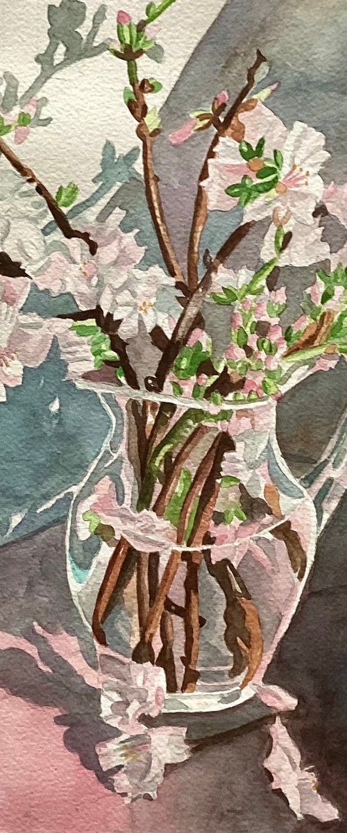 Almond Blossom by Rosalind Forster