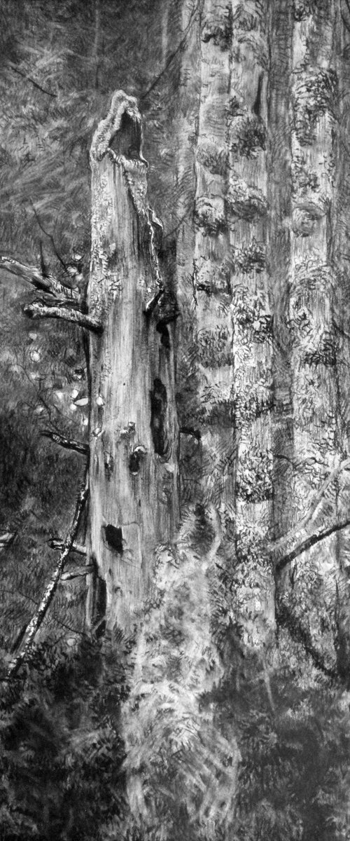 Dead tree by Simon Kozhin