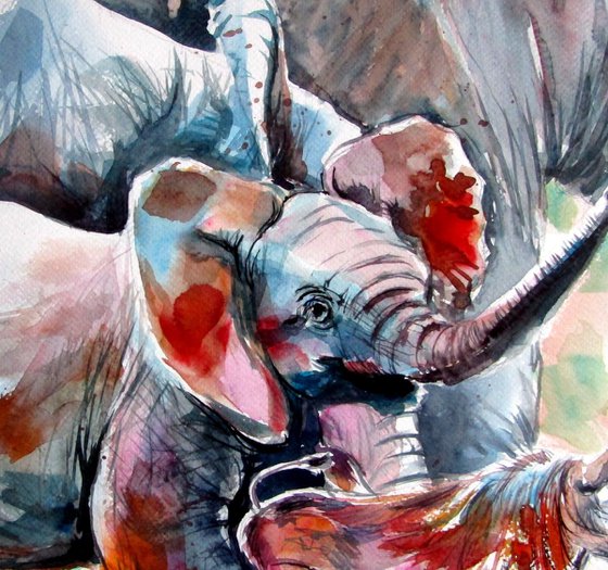 Elephant baby playing