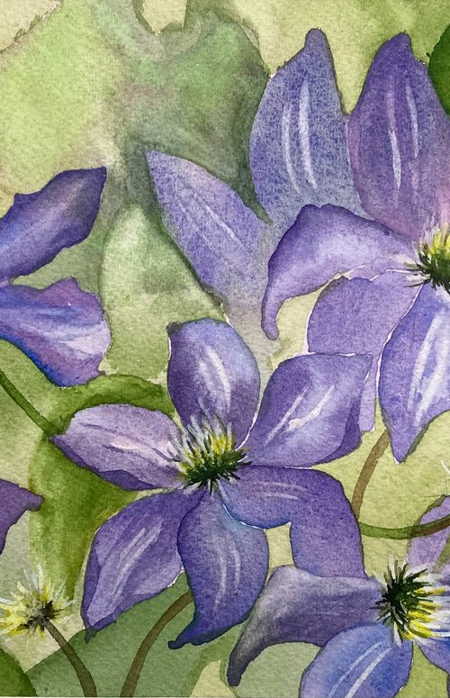 Blue Clematis by Silvie Wright