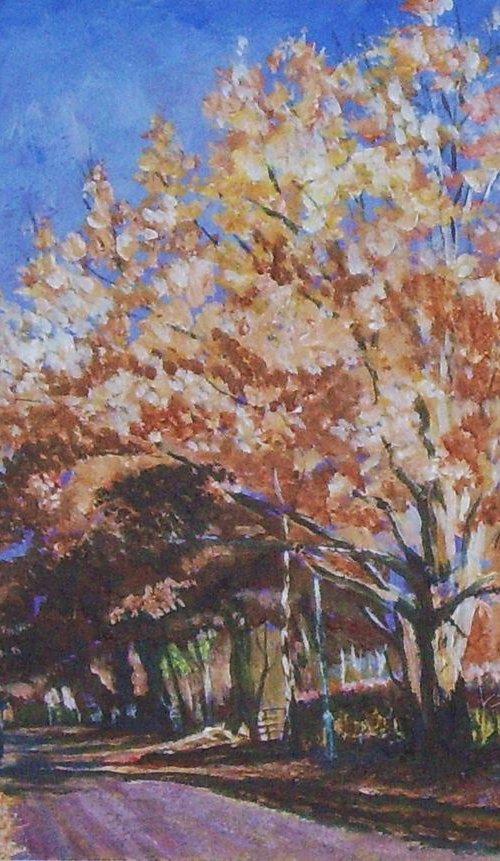 Towers Road Poynton in Autumn 1 by Max Aitken