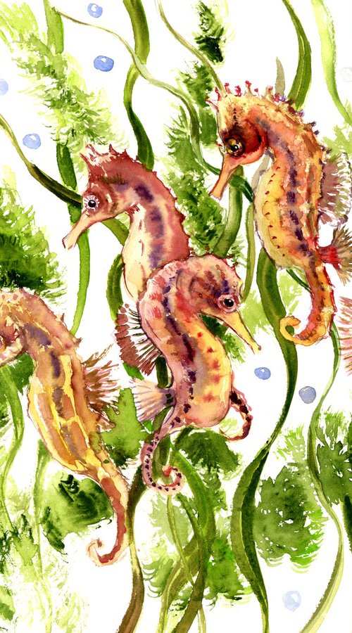 seahorses by Suren Nersisyan