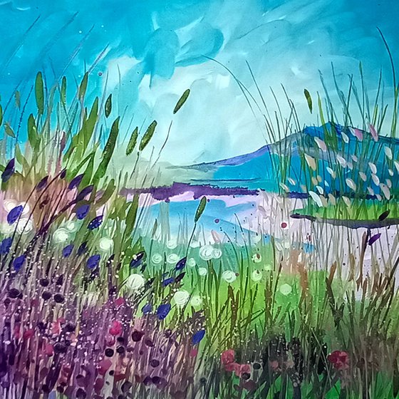 Cotton Grass and Loch View, Scottish Highlands