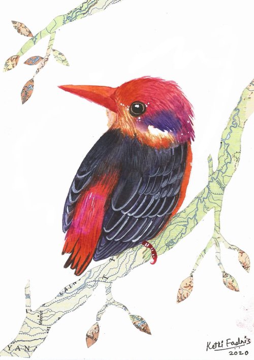 Oriental dwarf kingfisher by Ketki Fadnis