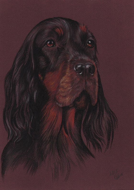 Pastel portrait of Setter Gordon - 21x30 cm