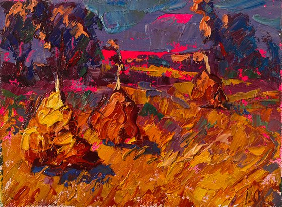 Sunset over the field