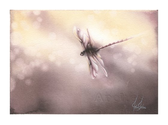 Glimpse XI - Sunset Dragonfly Watercolor Painting