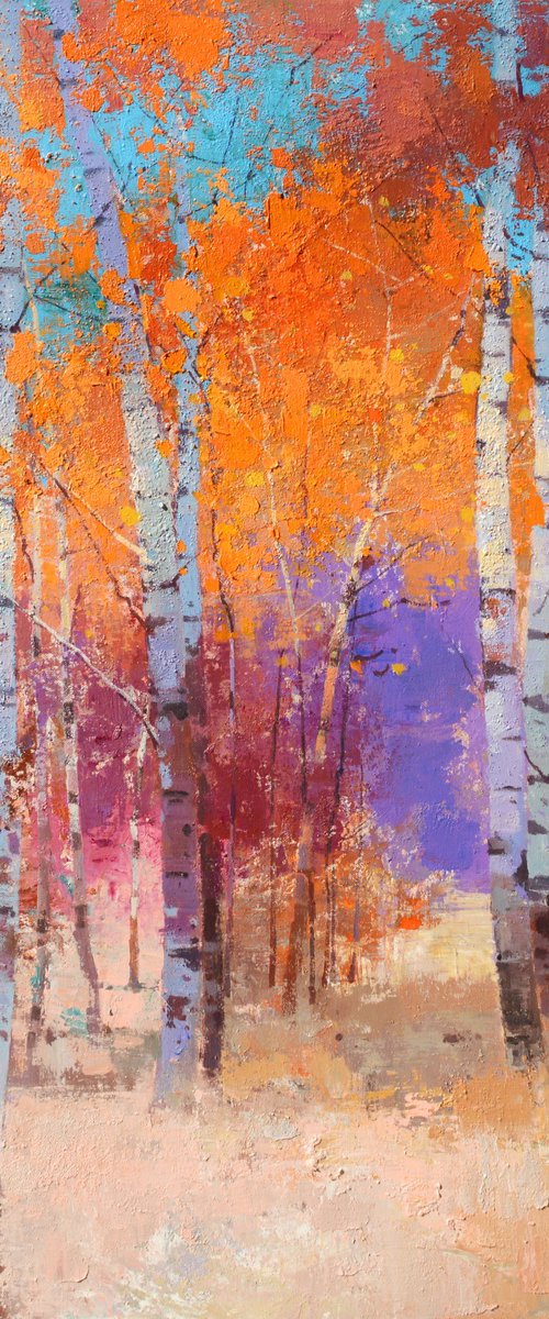 Birch trees forrest 083 by jianzhe chon