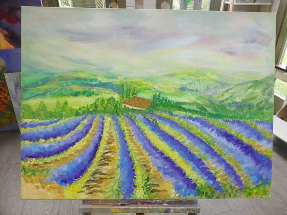 Lavender Fields