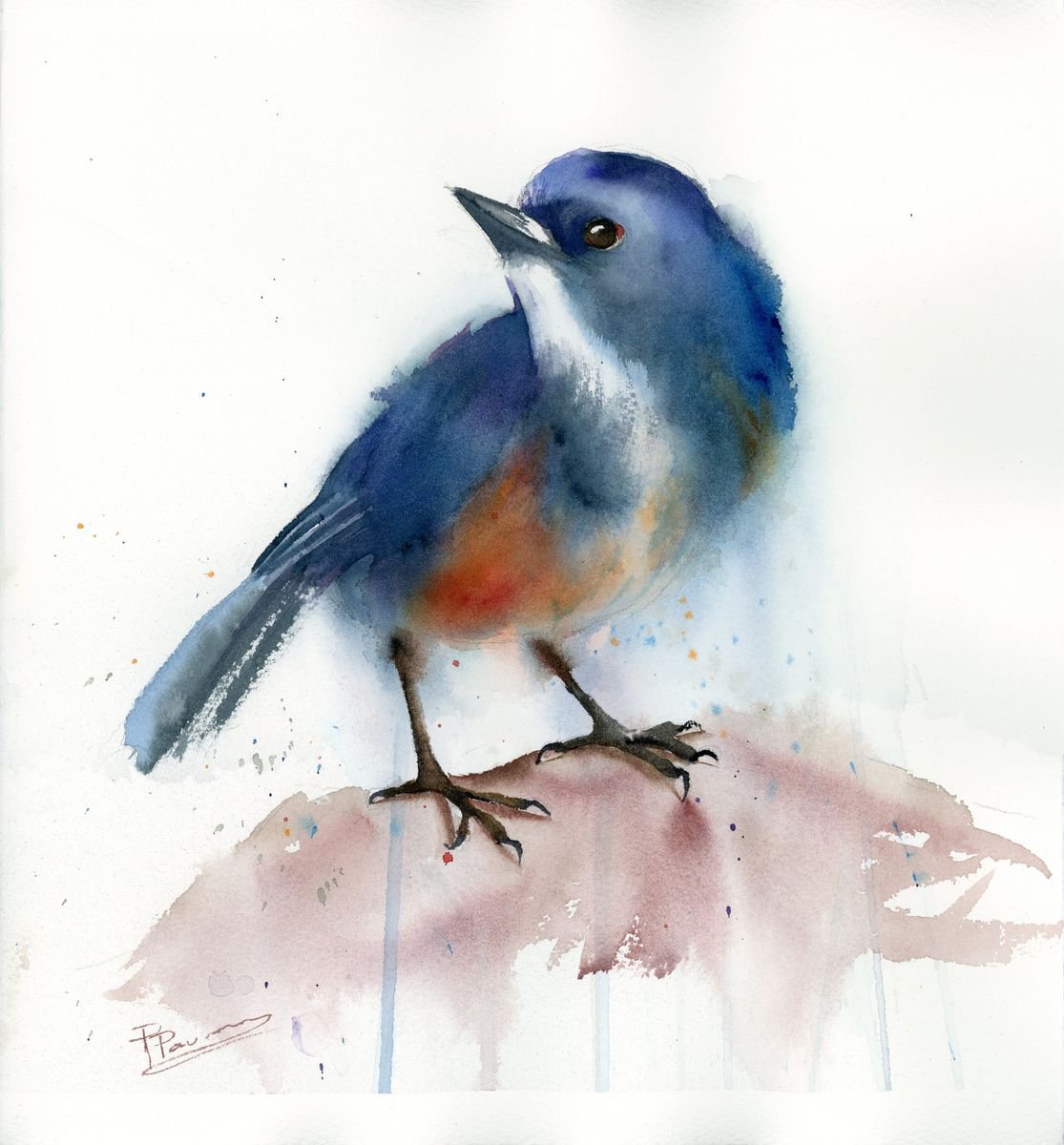 Impressionistic Animal Watercolour By Olga Tchefranov (Shefranov), 11 X 12", Eastern Bluebird, Original Artwork