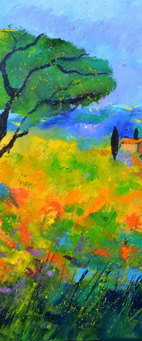 A pinetree in Tuscany by Pol Henry Ledent