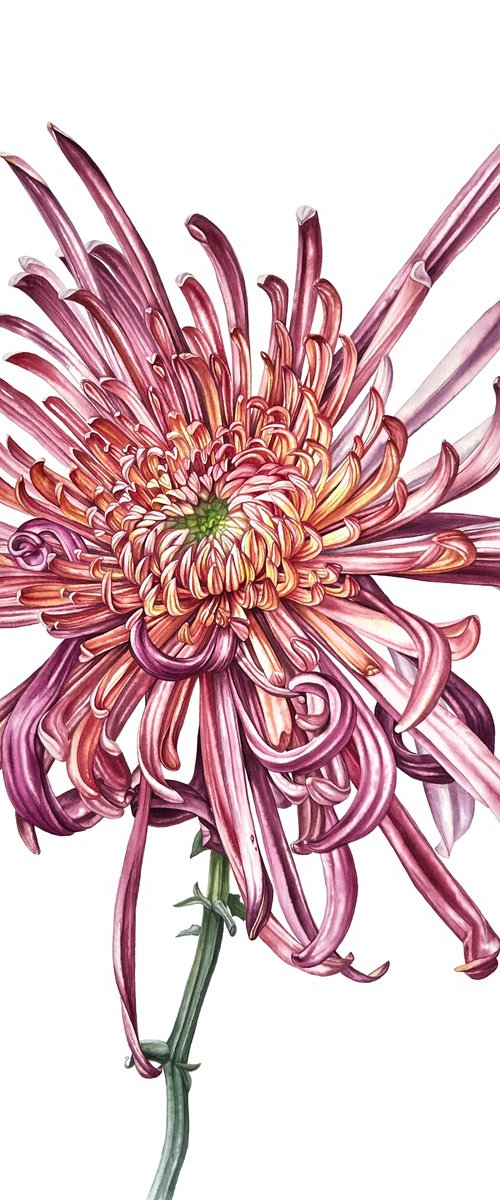 "Mood evolution" by Nataliia Kupchyk