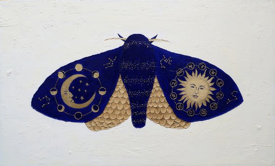 Zodiac butterfly