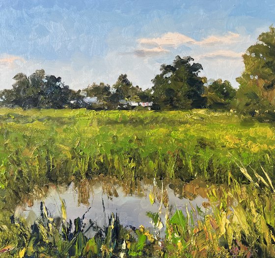 The Rice Fields