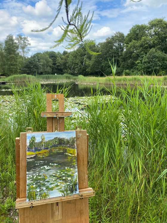 Waterlilies in park. Pleinair