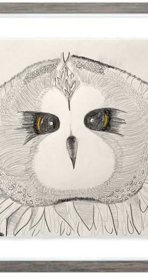 Owl Big Face / Bird Art / Animals & Birds / Animal Portrait / Owl Art / Bird Art / Black and White / Original Artwork / Gifts For Her / Home Decor Wall Art 11.7"x16.5" by Kumi Muttu
