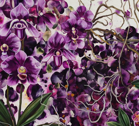 Mauvine, Purple Orchids