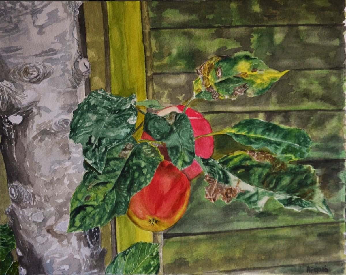 Photorealistic Botanical Watercolour By Afekwo, 14 X 11, My Sister