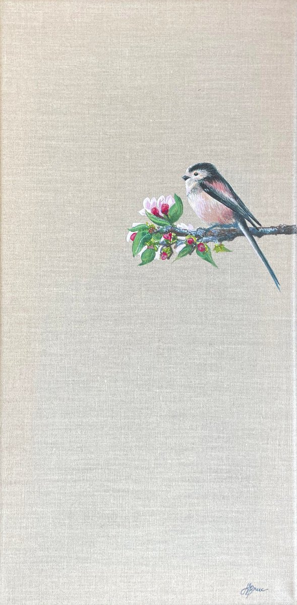Long Tailed Tit and First Signs of Spring by Hannah Bruce