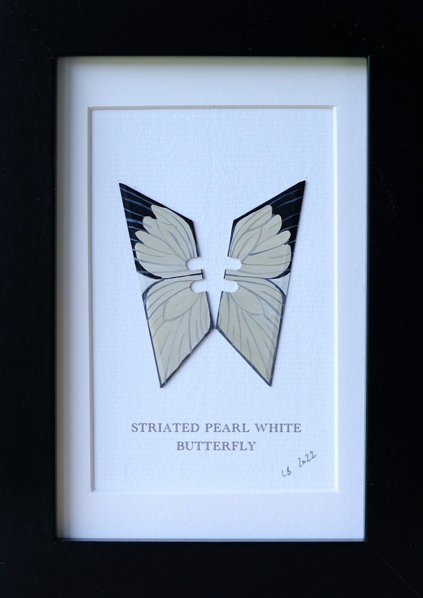 Photorealistic Animal Collage By Lene Bladbjerg, 5 X 7", Striated Pearl White Butterfly, Original Artwork
