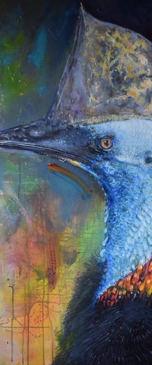 Rain forest Cassowary by Trevor Salisbury